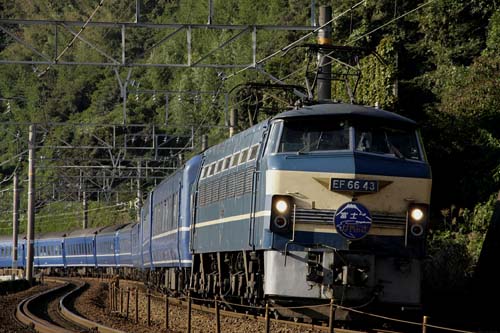 �S���G�{ �x�m�E�͂�Ԃ�