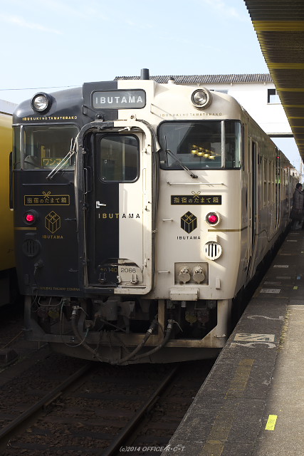 �w�h�̂��܂Ĕ�